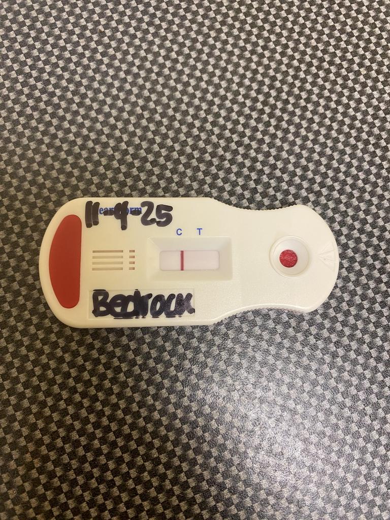 Enlarge BEDROCK, a Adoptable mixed breed in Florence, SC image 3/4