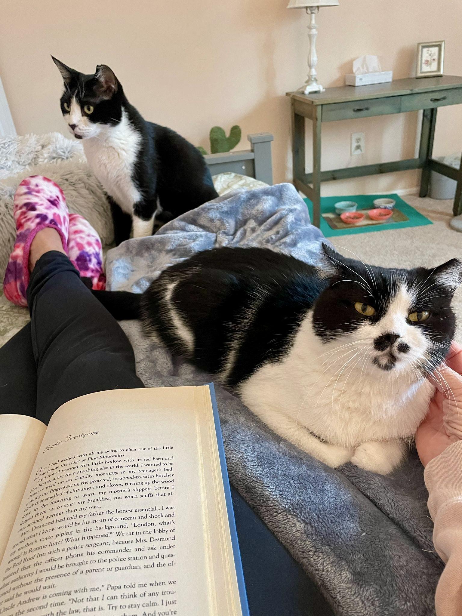 Oreo And Mimi  thumbnail 5