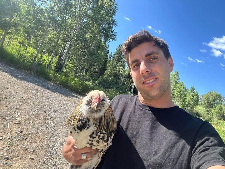 Albert, a Adoptable Chicken in Eagle Mountain, UT image 1/2