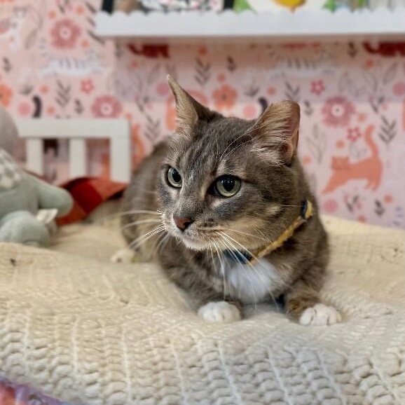 Kemah Texas — thumbnail 5