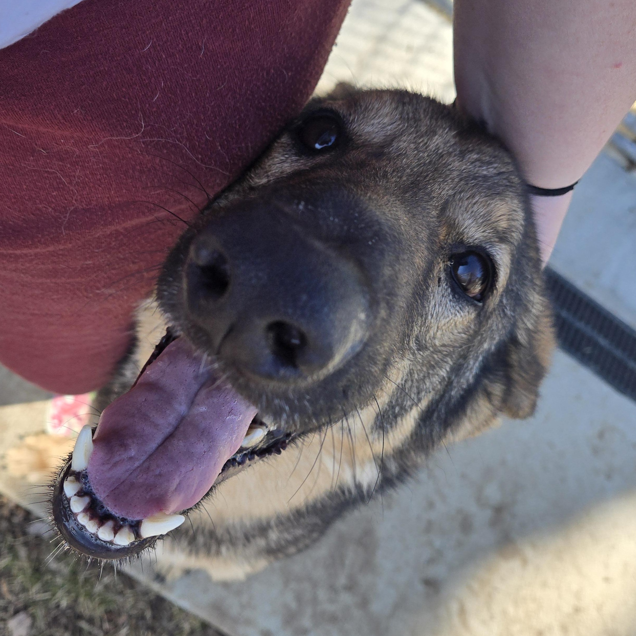 Lily photo 6
