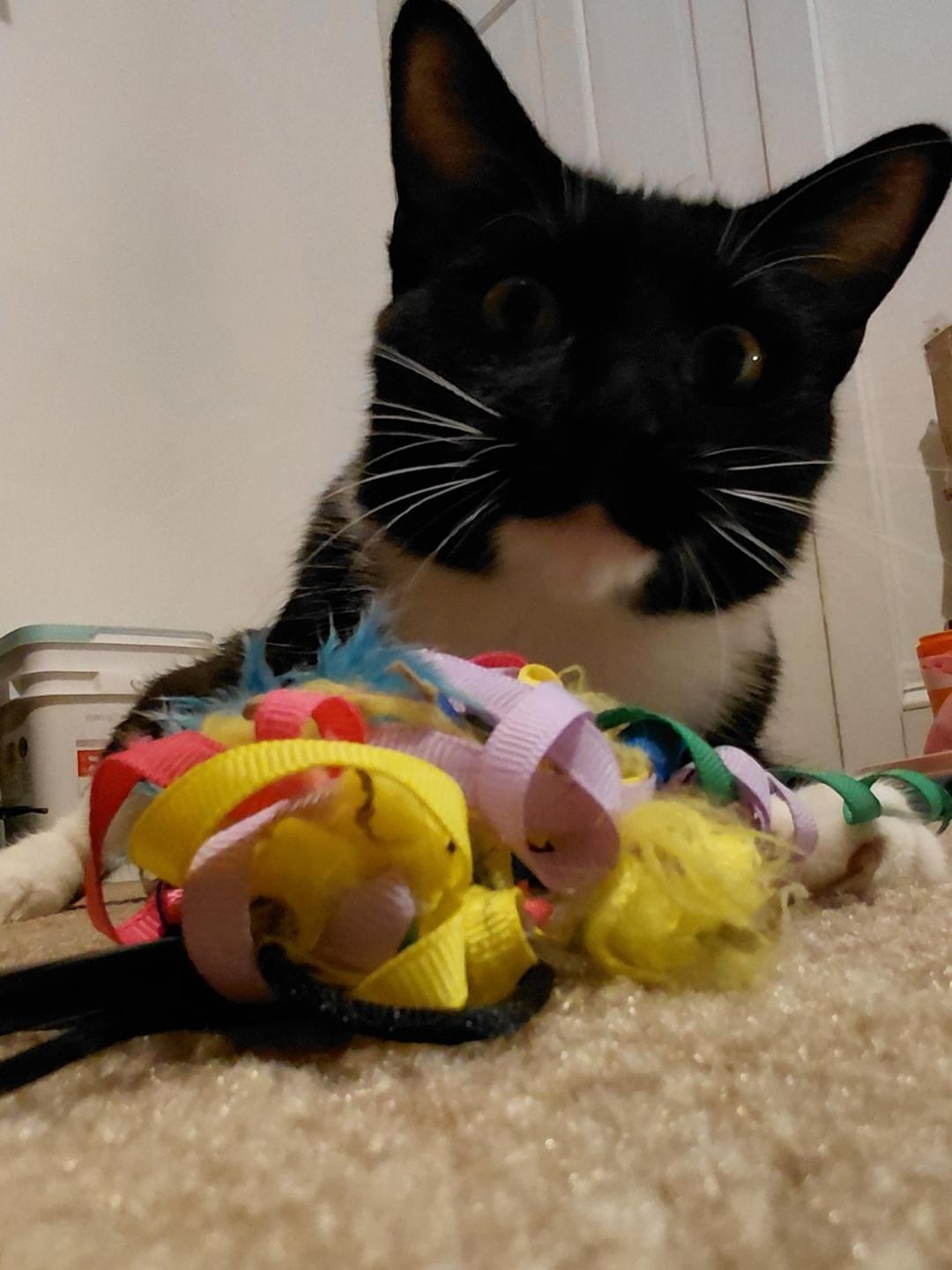 Greta Stauffer (beautiful sweet girl!)