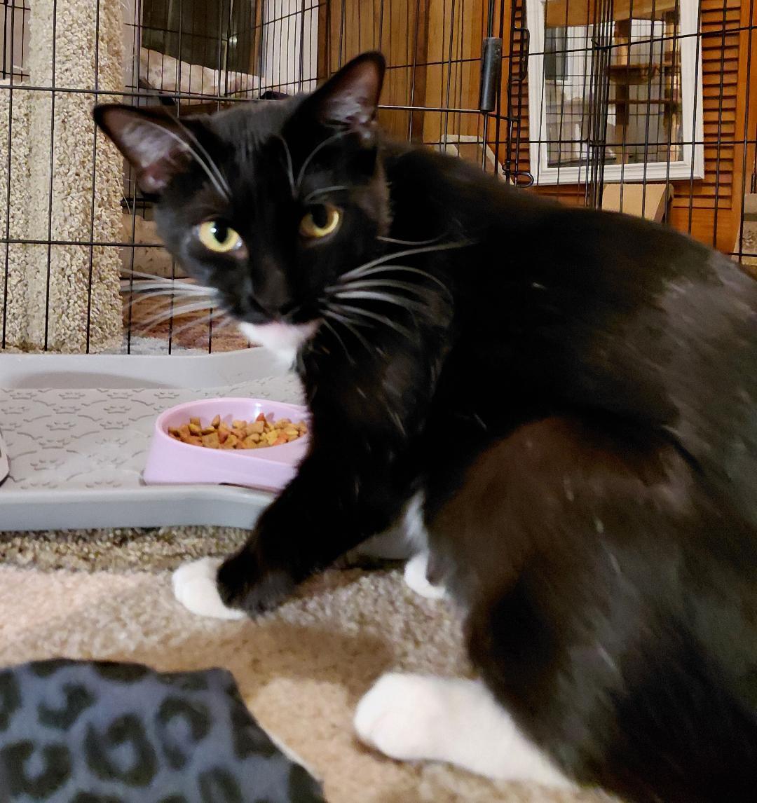 Greta Stauffer (beautiful sweet girl!) — thumbnail 3