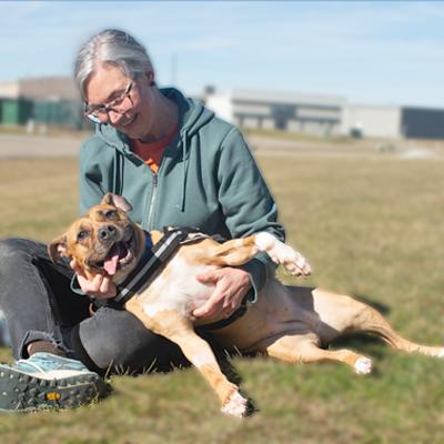 Enlarge Roxie, a ADOPTABLE Boxer in Hilliard, OH image 2/3