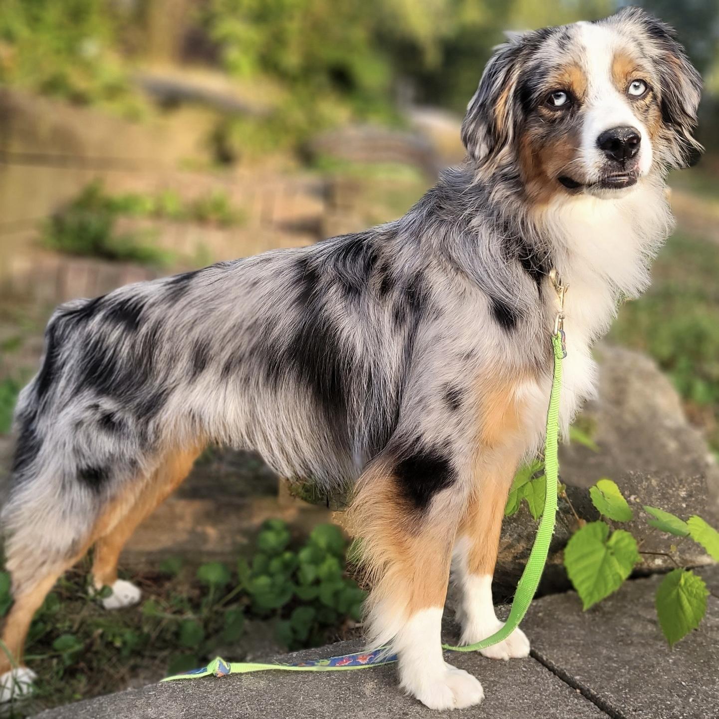 Murphy 2.0