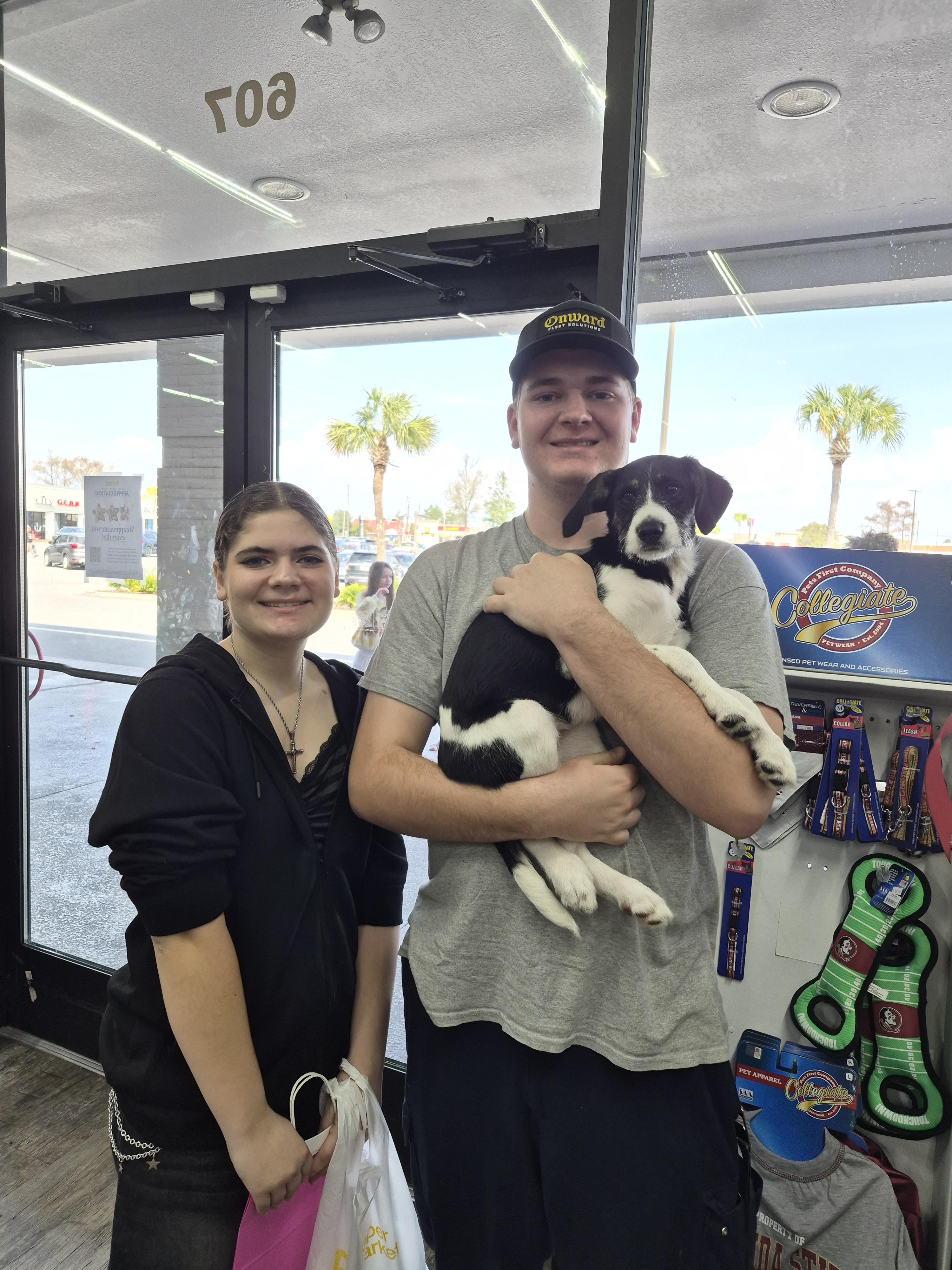 Tippy, Adopted, Young Female Rat Terrier & Golden Retriever.