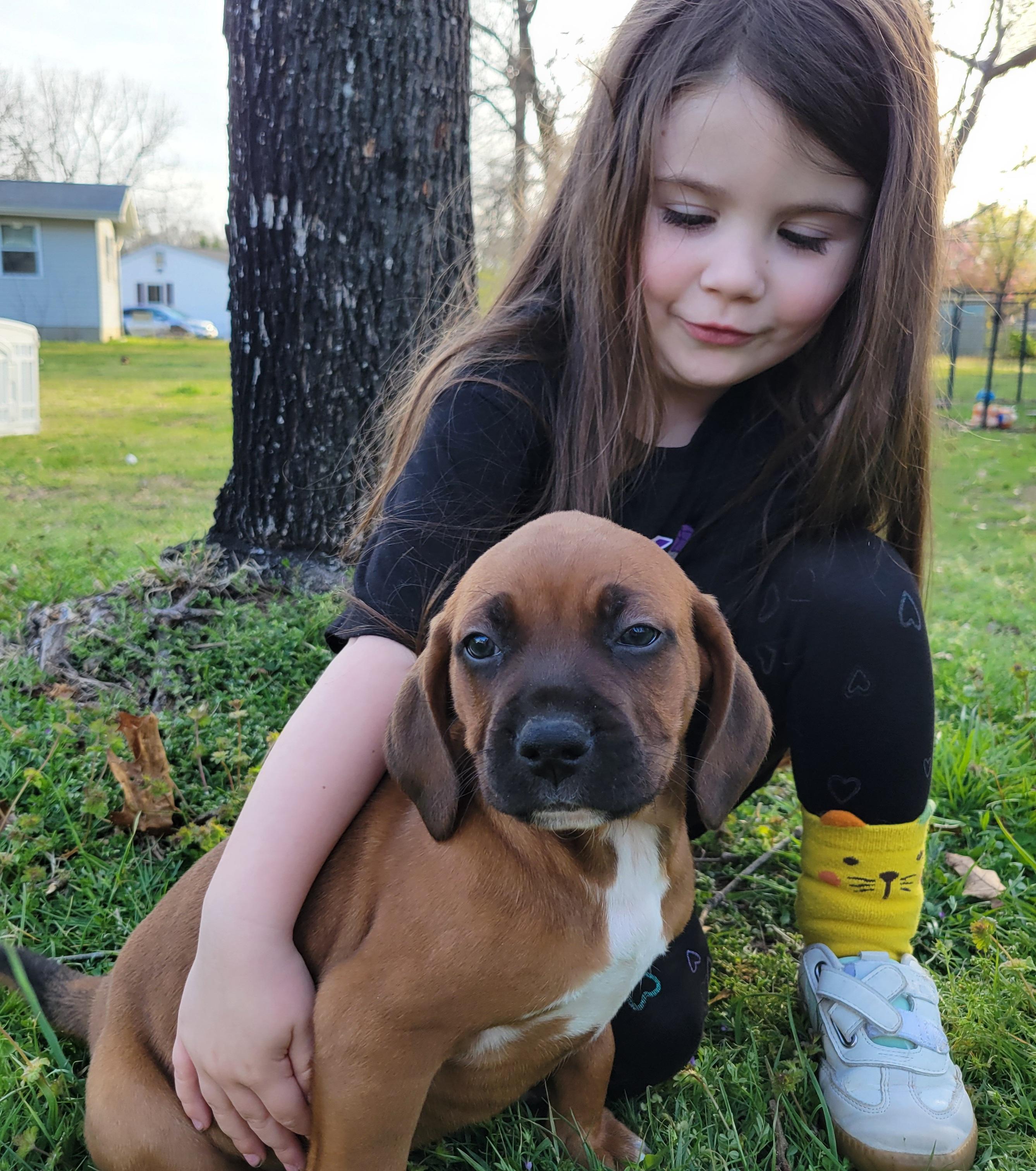 Enlarge Chunky Monkey, a ADOPTABLE mixed breed in Elwood, NJ image 3/4