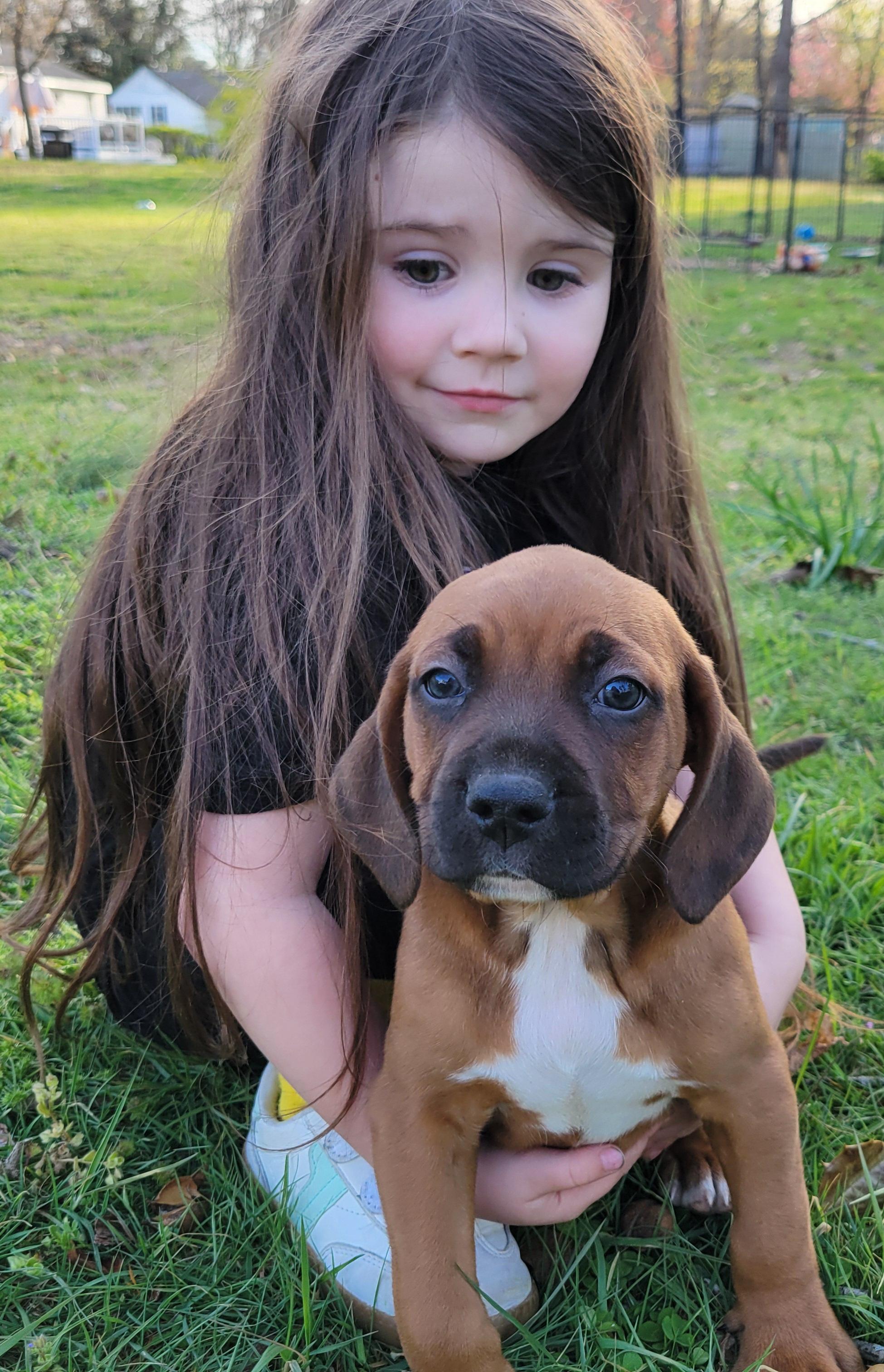 Enlarge Chunky Monkey, a ADOPTABLE mixed breed in Elwood, NJ image 4/4