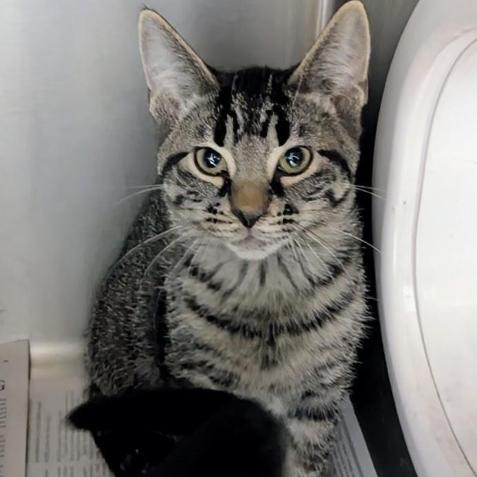 Juicy Fruit thumbnail 2