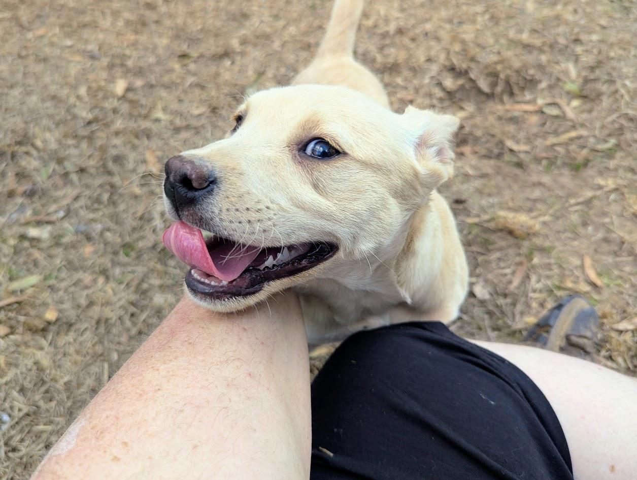 DAISY LEIGH JONES — thumbnail 2