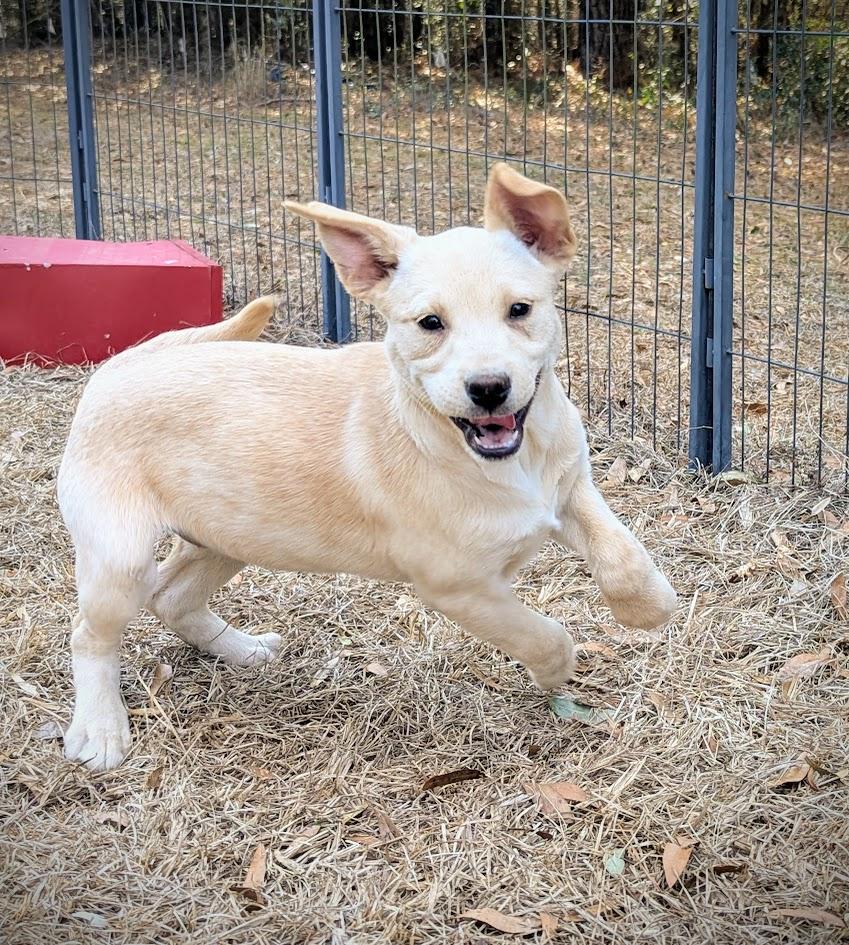 DAISY LEIGH JONES — thumbnail 3