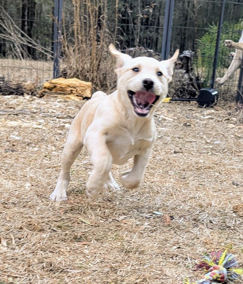 DAISY LEIGH JONES — thumbnail 4