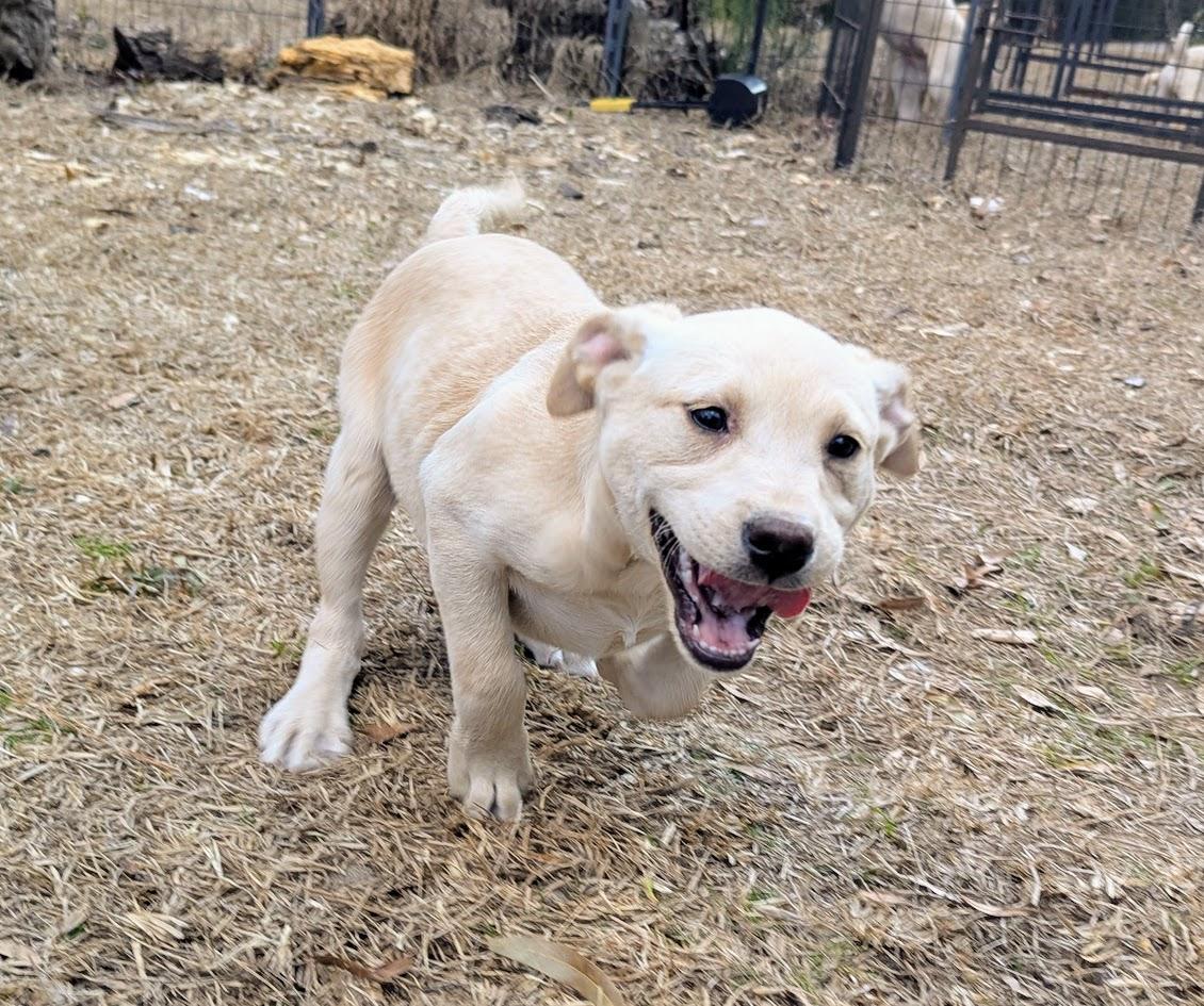 DAISY LEIGH JONES — thumbnail 5