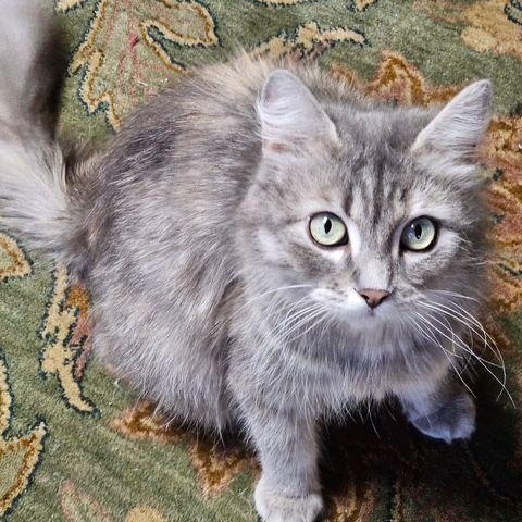Mable Gray photo 3