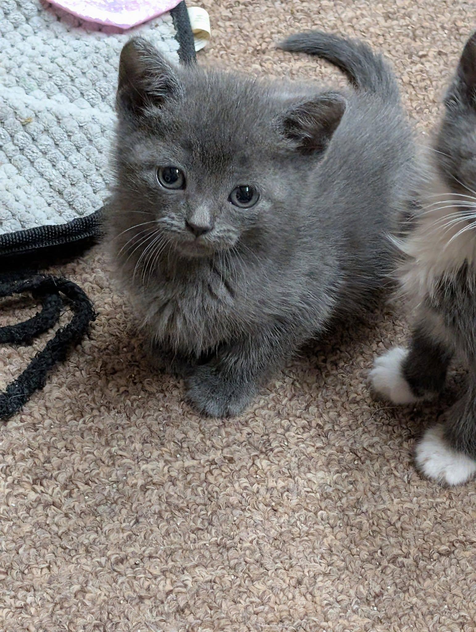 Penelope photo 3