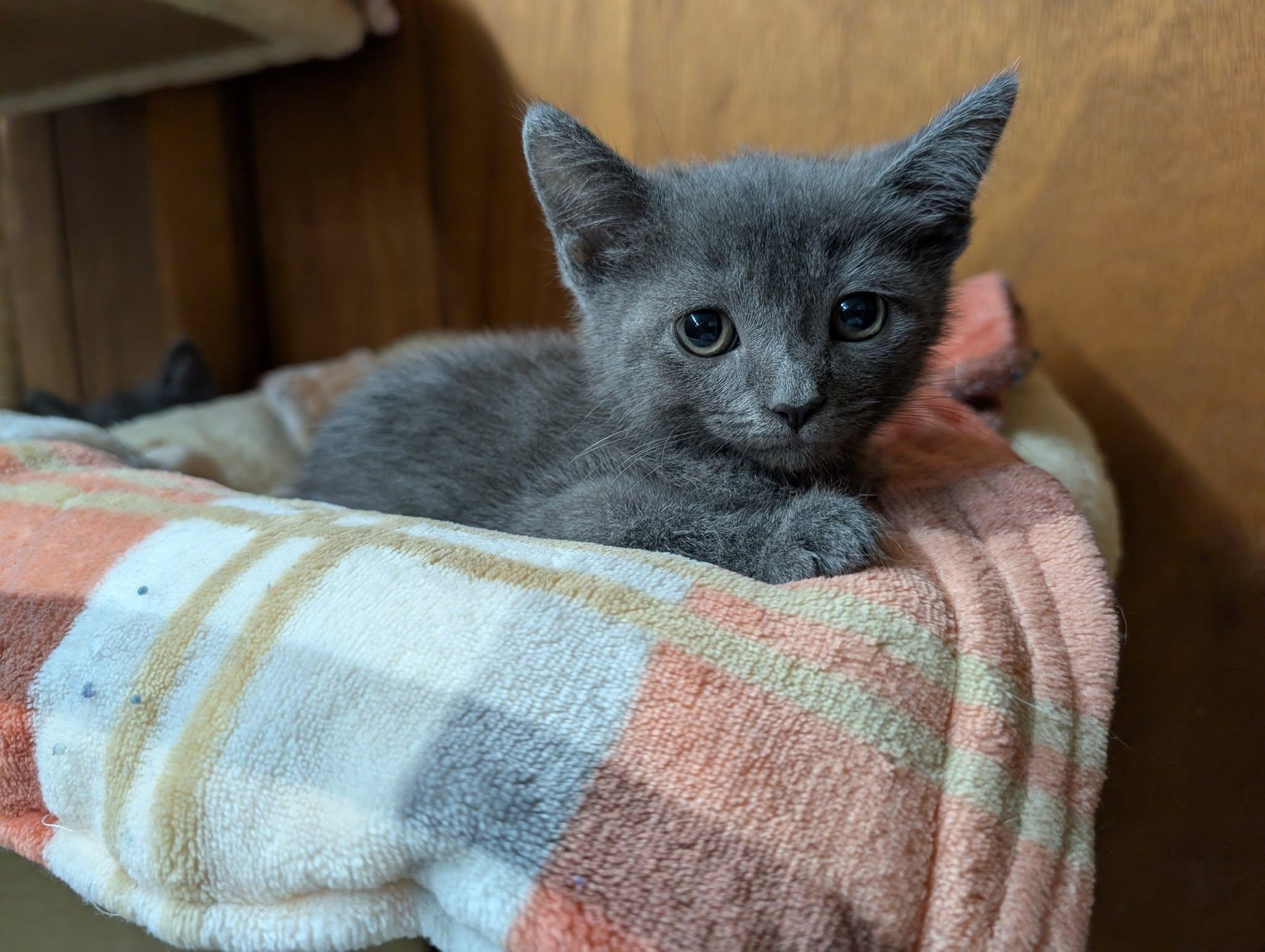 Penelope photo 5