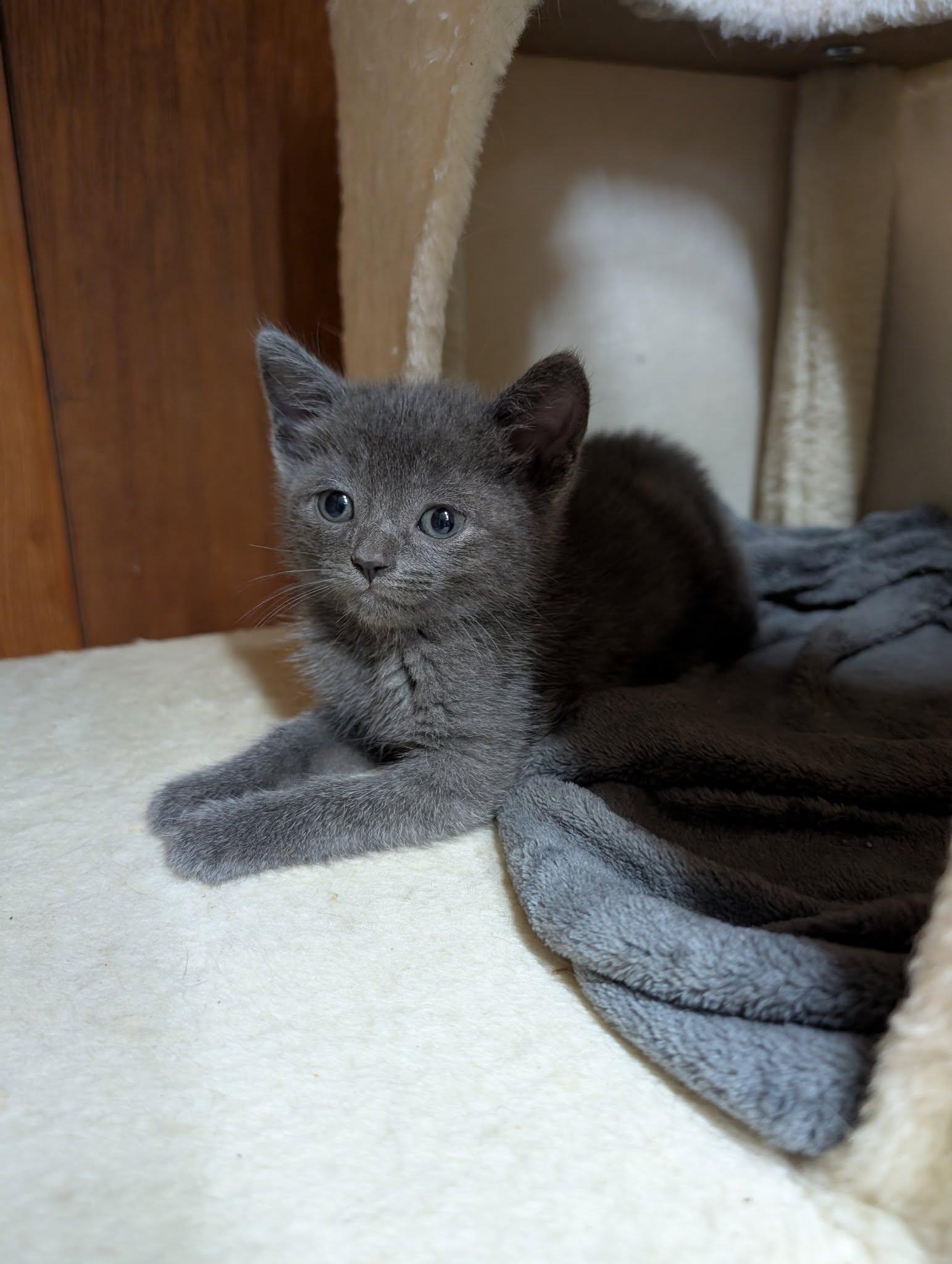 Penelope photo 6