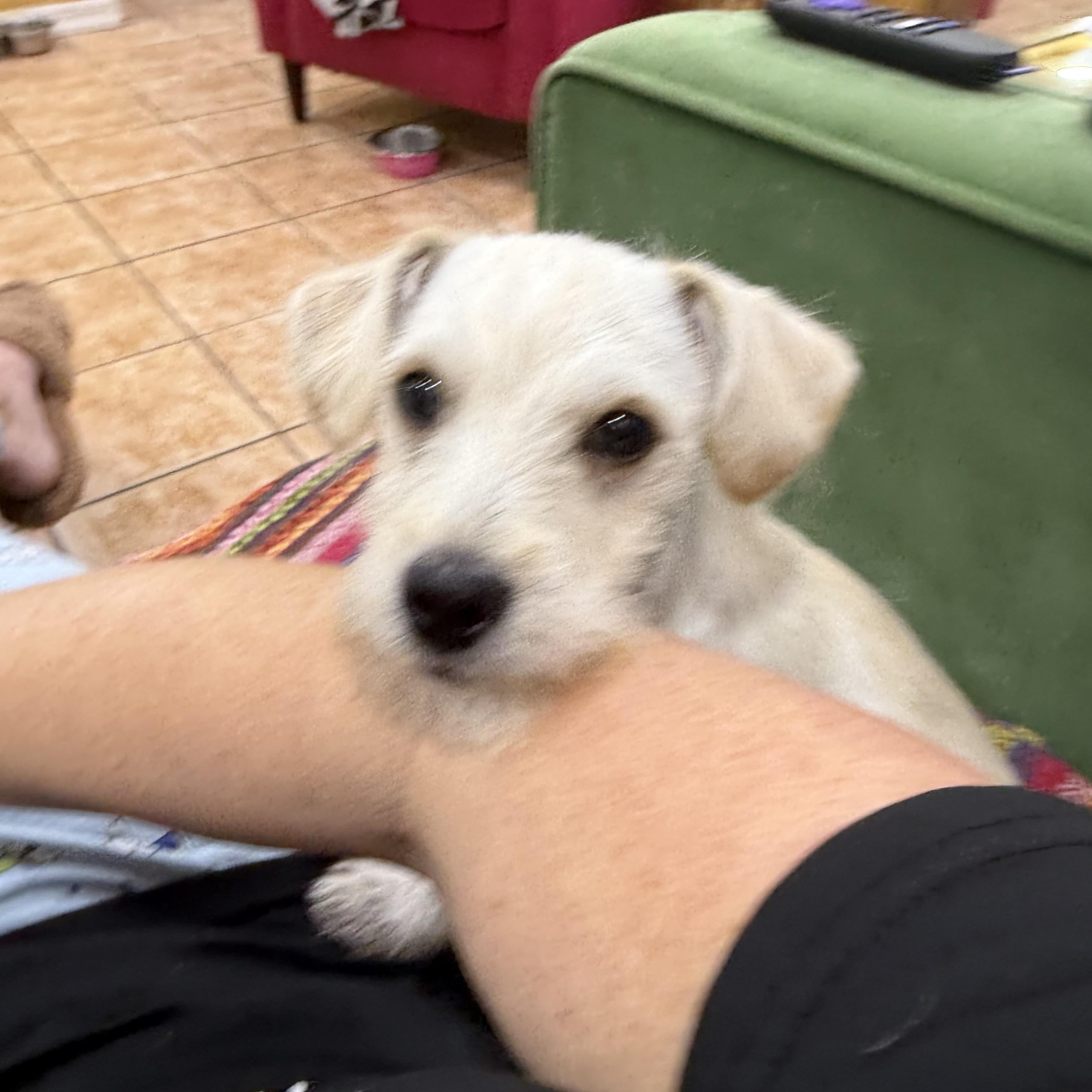 Billy