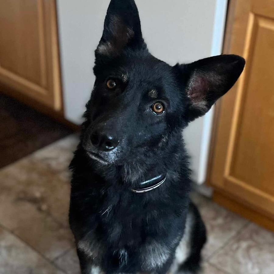 Mocha
