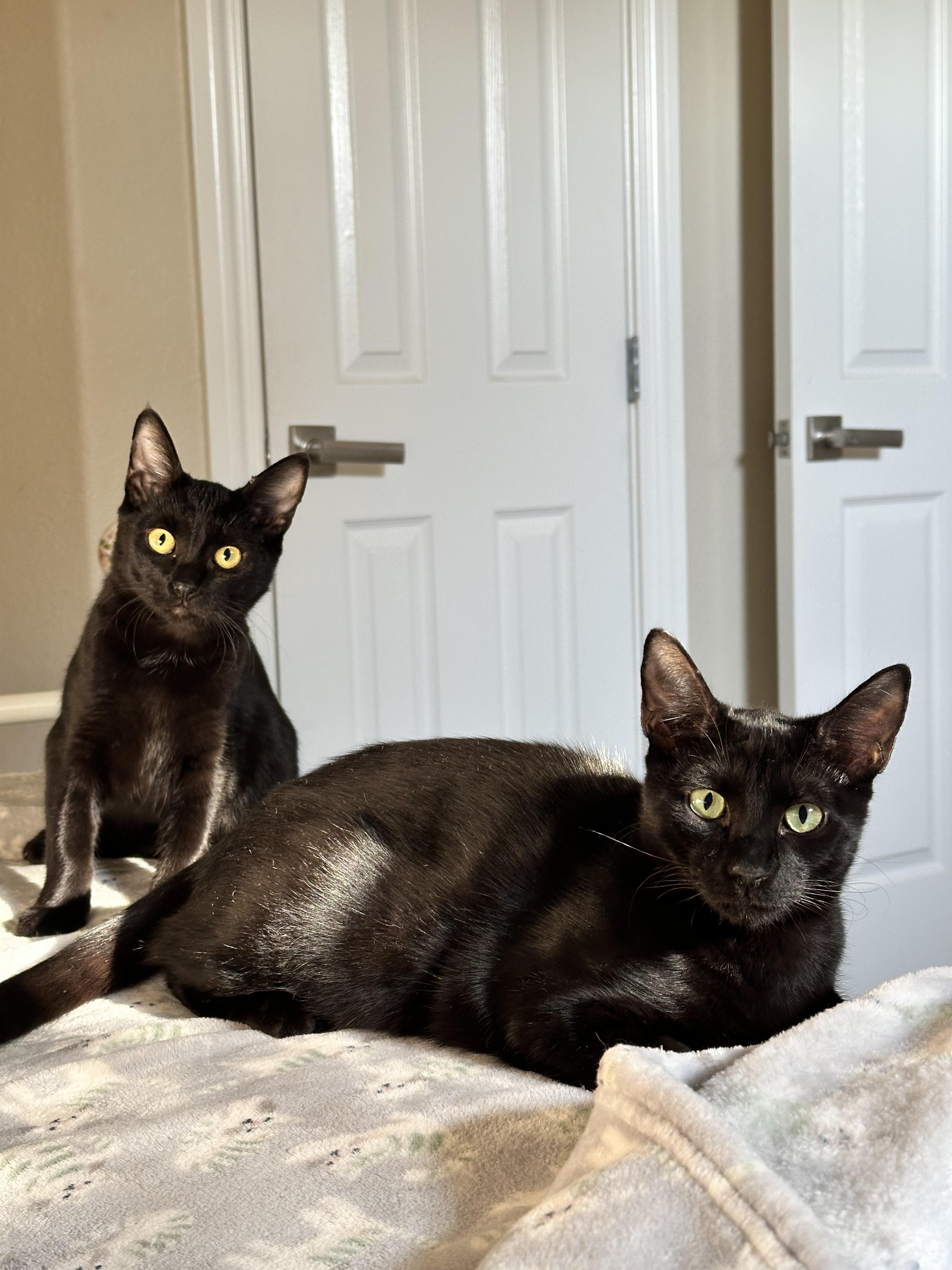 Wednesday thumbnail 2