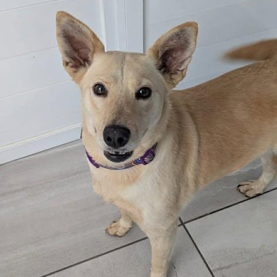 Emma (20260118-05) — thumbnail 2