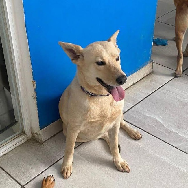 Emma (20260118-05) — thumbnail 3