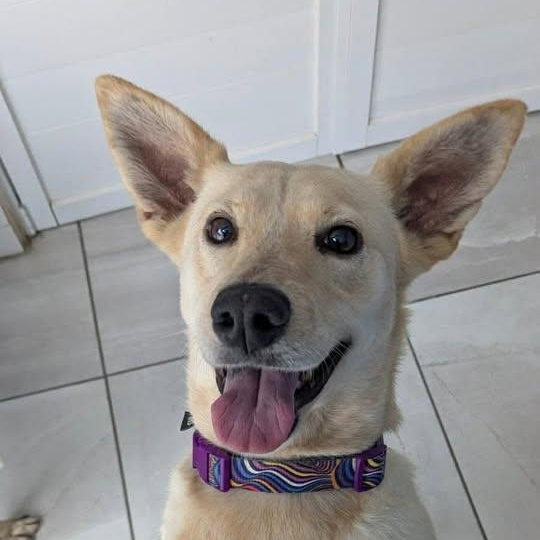 Emma (20260118-05) — thumbnail 4