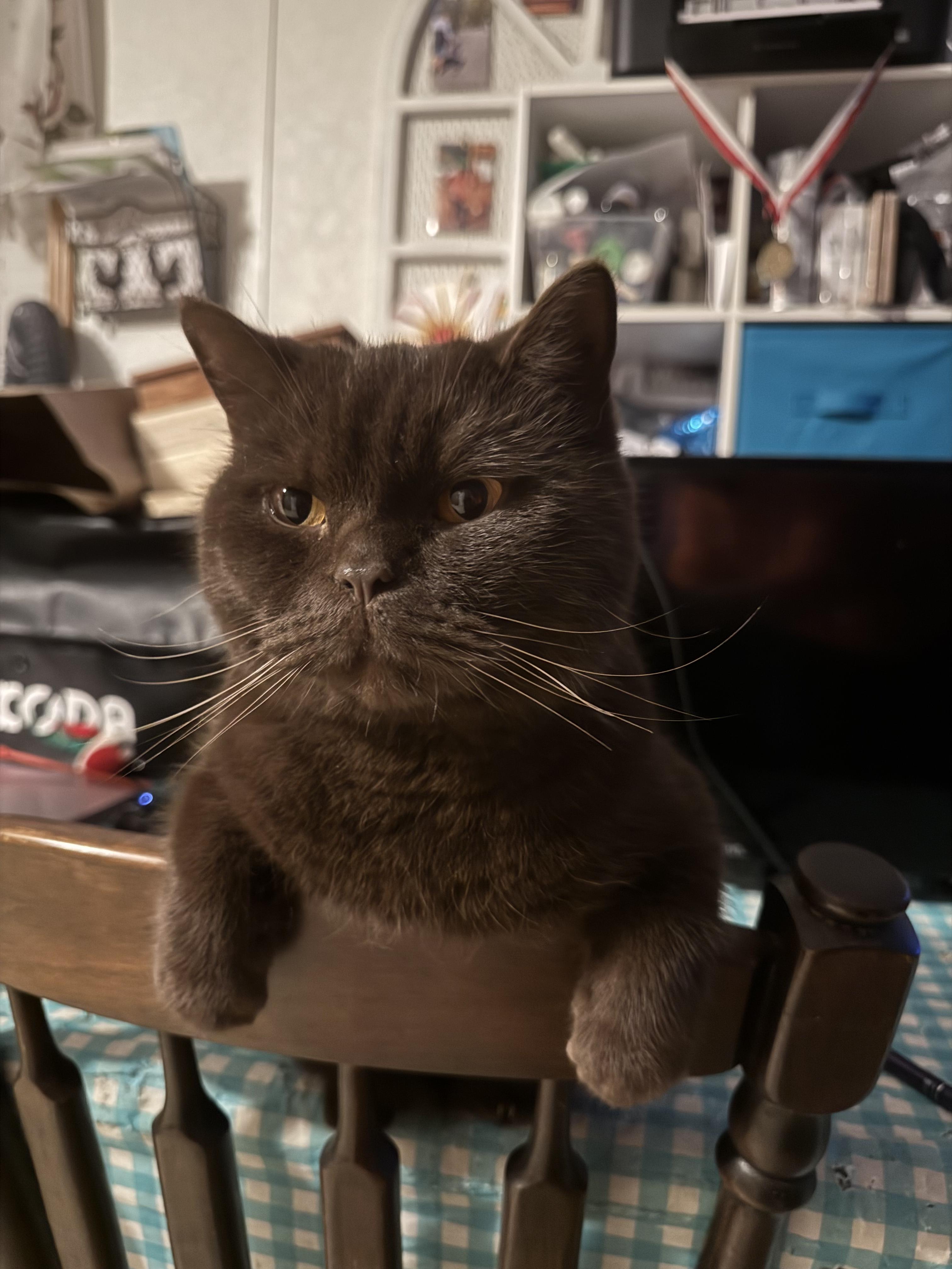 Toblerone thumbnail 2