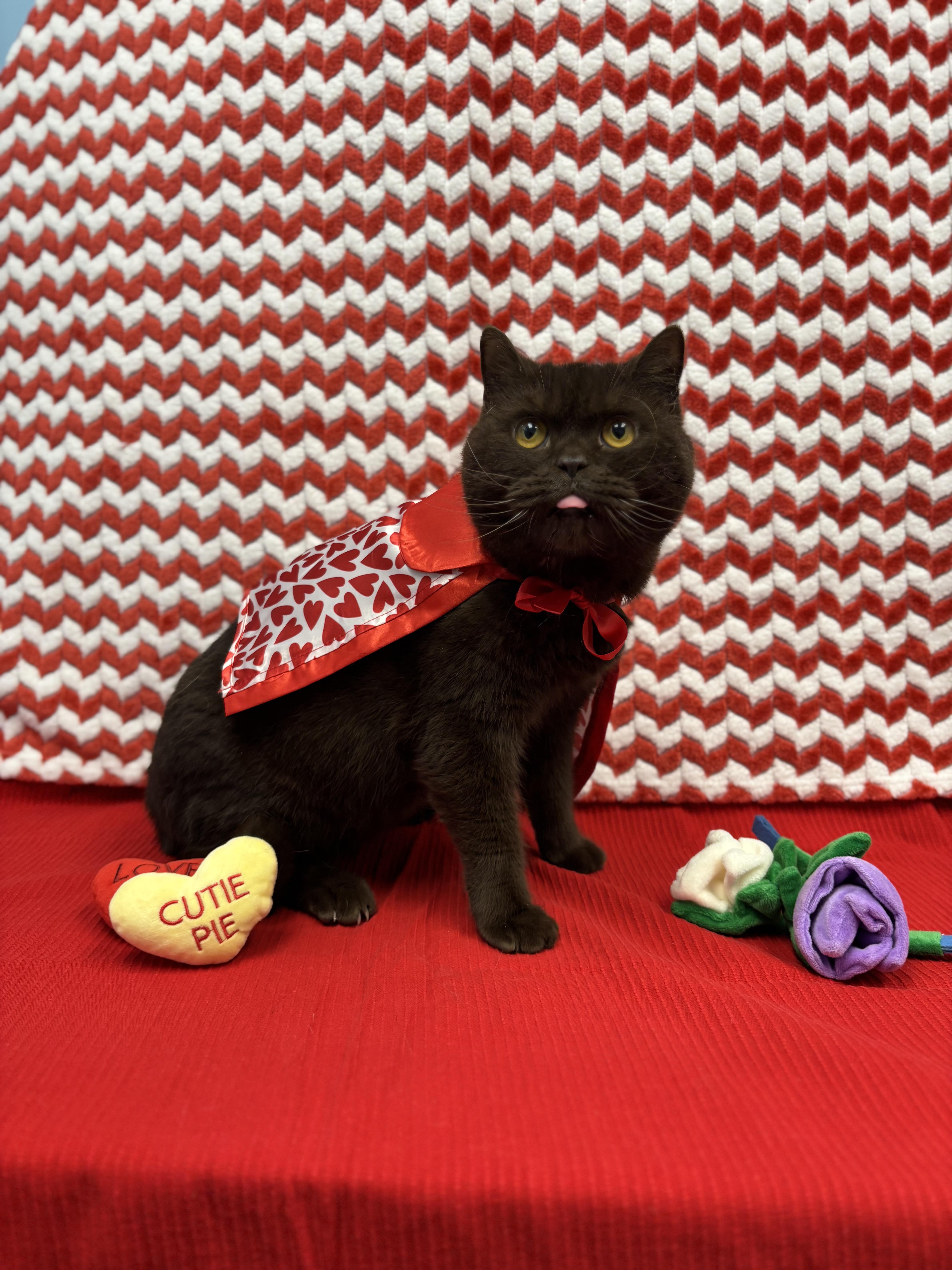 Toblerone thumbnail 3