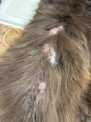 Jim Carrey thumbnail 2