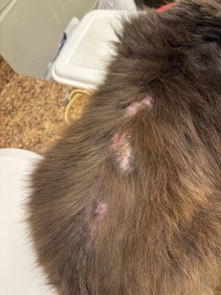 Jim Carrey thumbnail 4