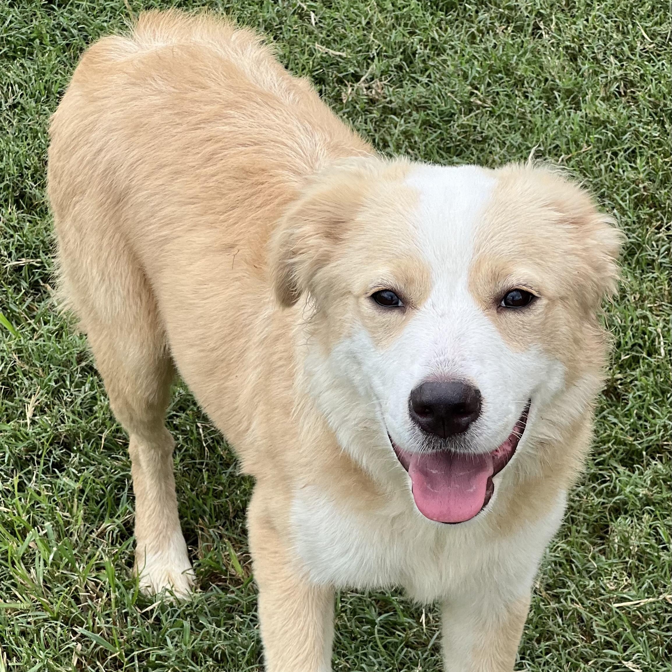 Molley - Local Sept 26-28