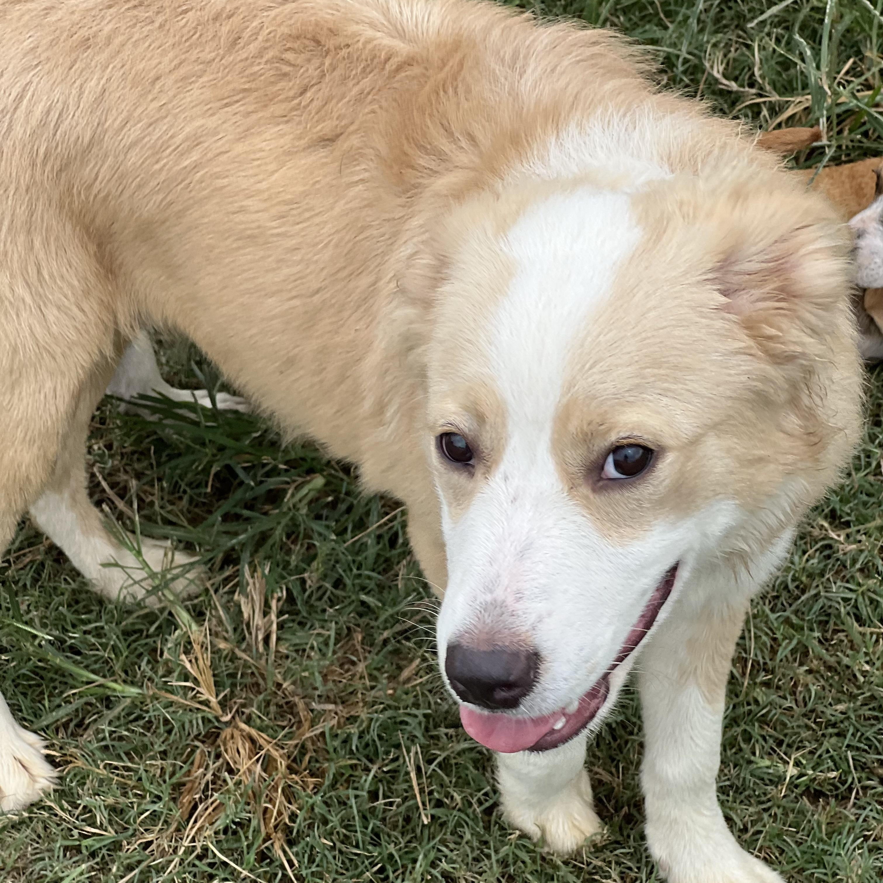 Molley - Local Sept 26-28