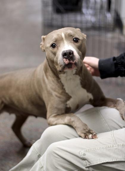 Dory — thumbnail 2