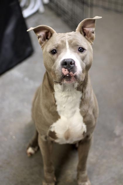 Dory — thumbnail 3