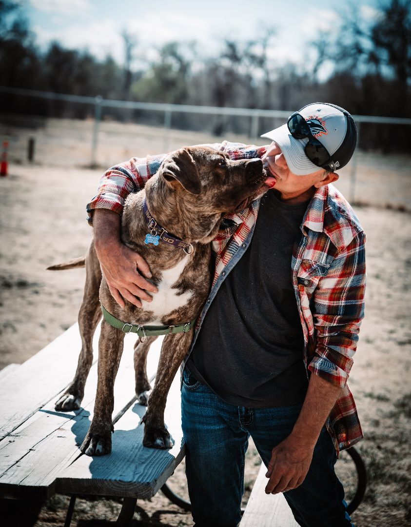 Enlarge Ethan, a Adoptable mixed breed in Pueblo, CO image 3/6