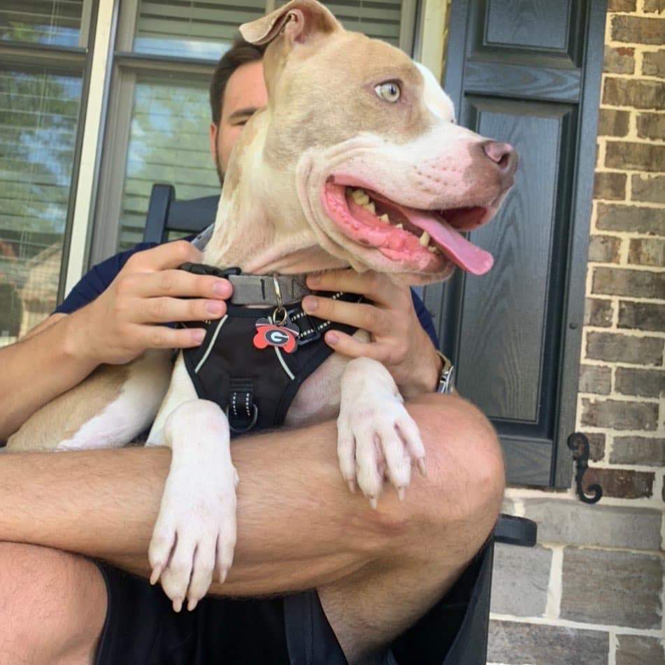 Kix, a Adoptable mixed breed in Roswell, GA image 5/5