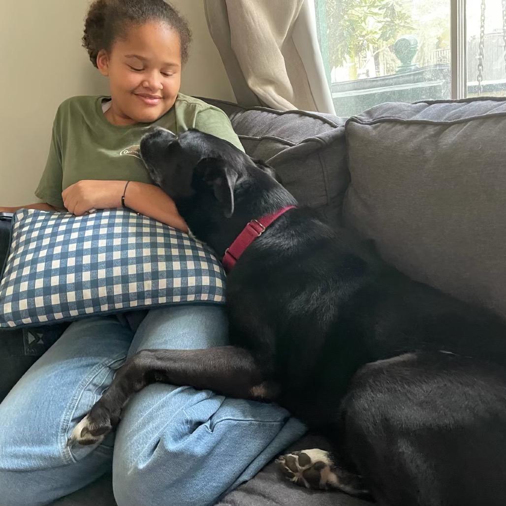 Buddy (Reduced Rover), a Adoptable mixed breed image 6/6