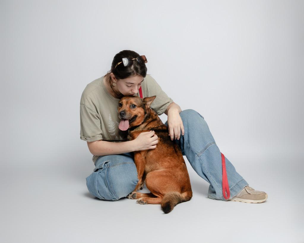 Enlarge Violet, a Adoptable mixed breed in Rockport, TX image 4/4