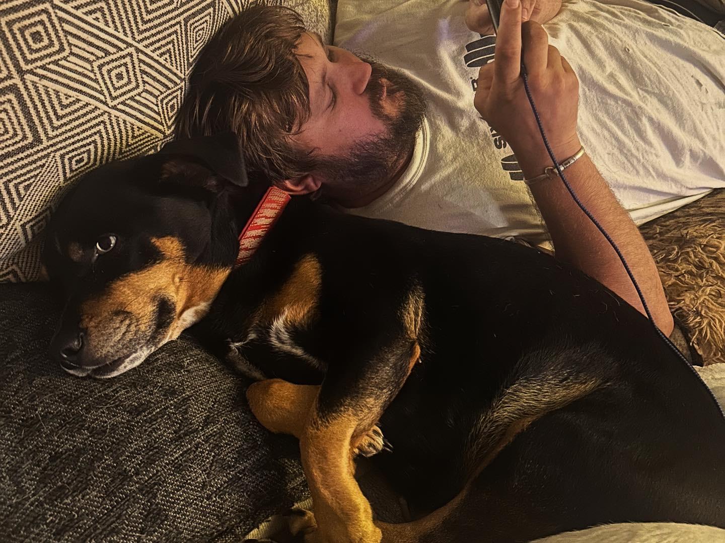 Enlarge Lainie, a Adopted mixed breed in Lynn Haven, FL image 3/5