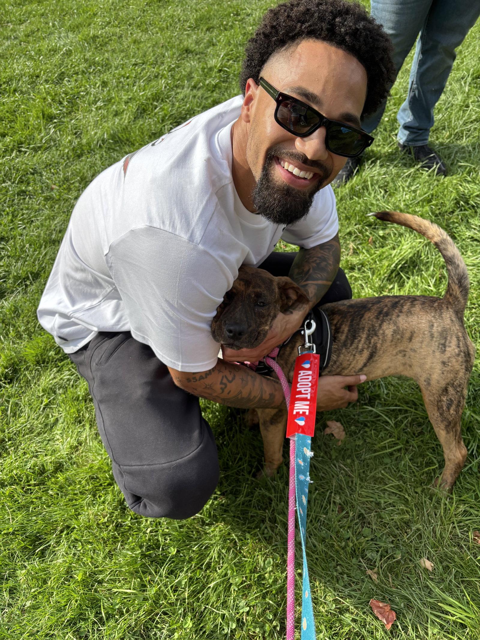 Tiggy, Adoptable, Young Female Boxer.