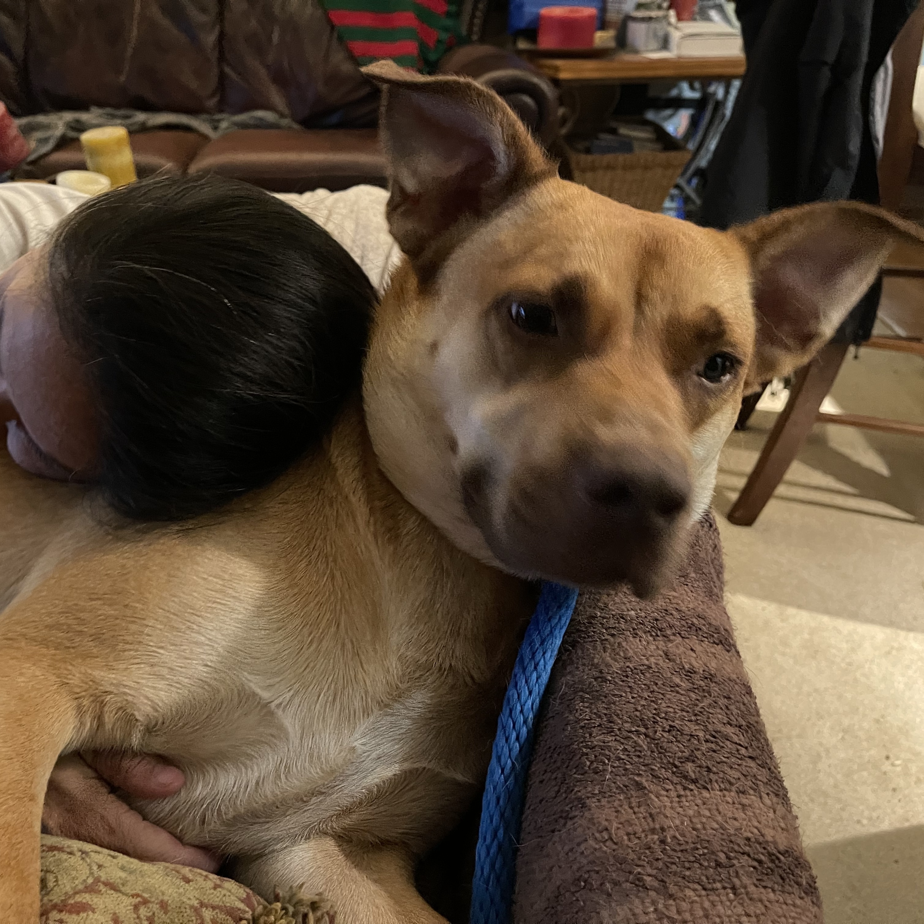 KOBE (AKA Kobert/Koberton) — thumbnail 2