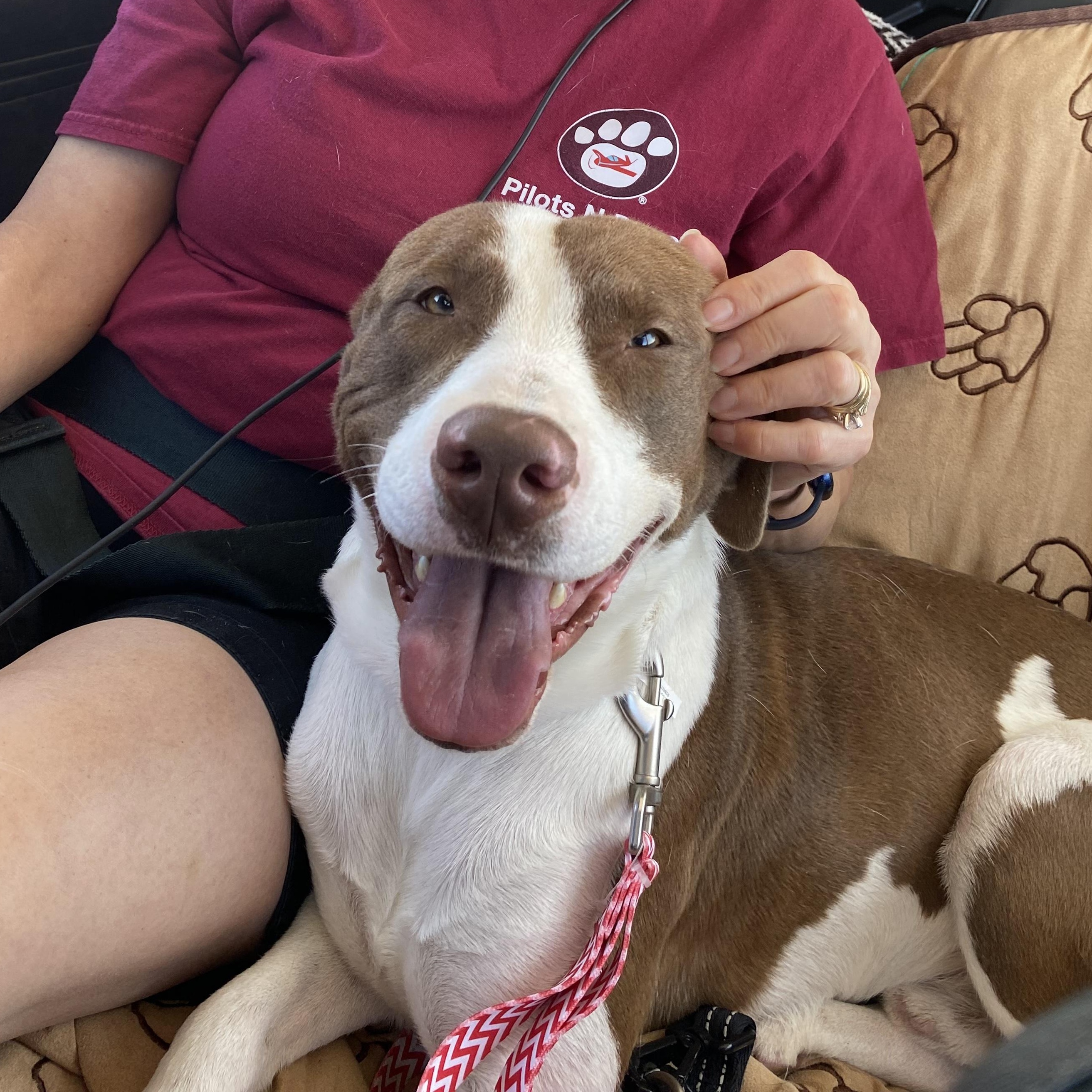 Sid : The perfect 100