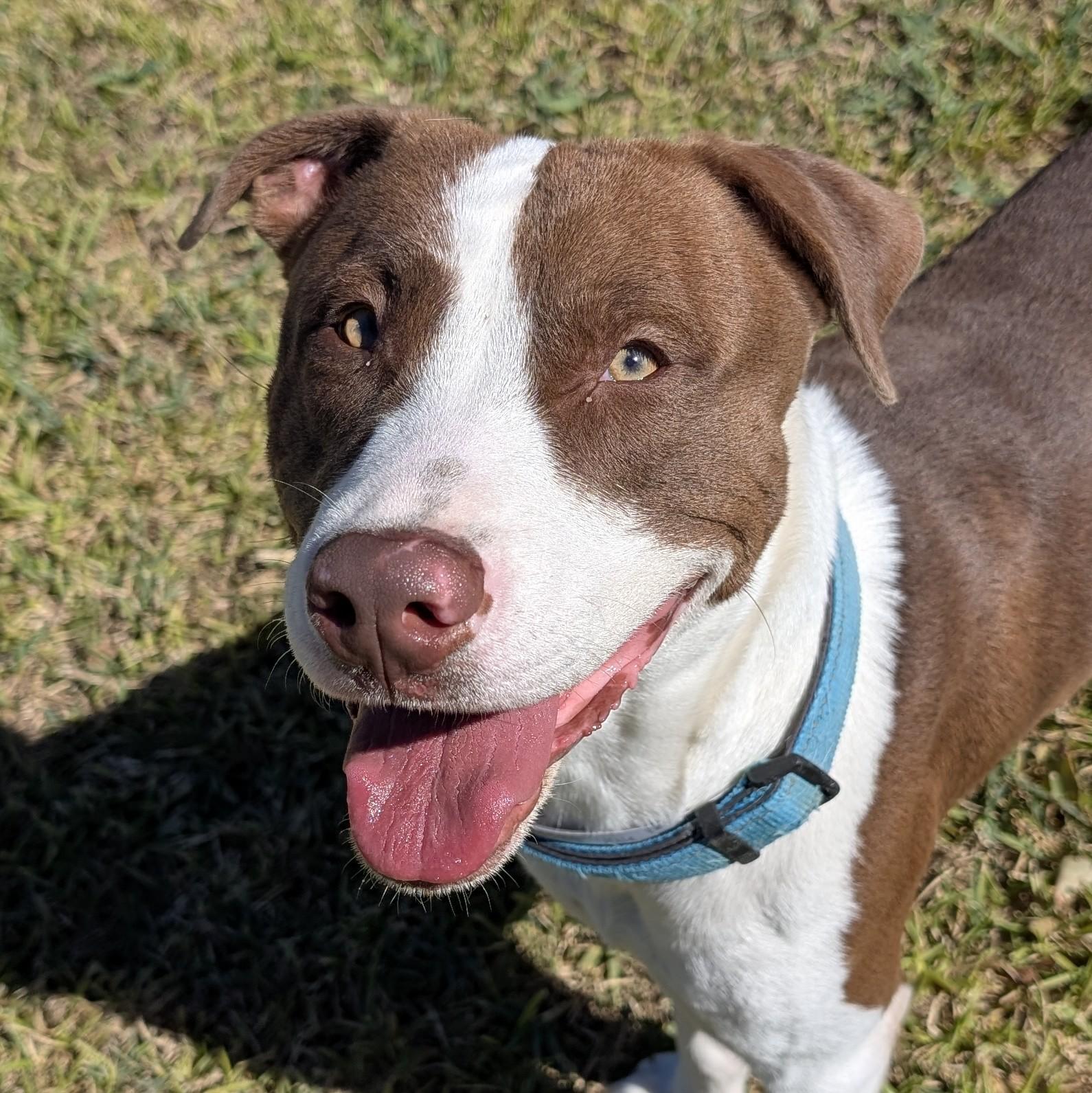 Sid : The perfect 100 — thumbnail 2