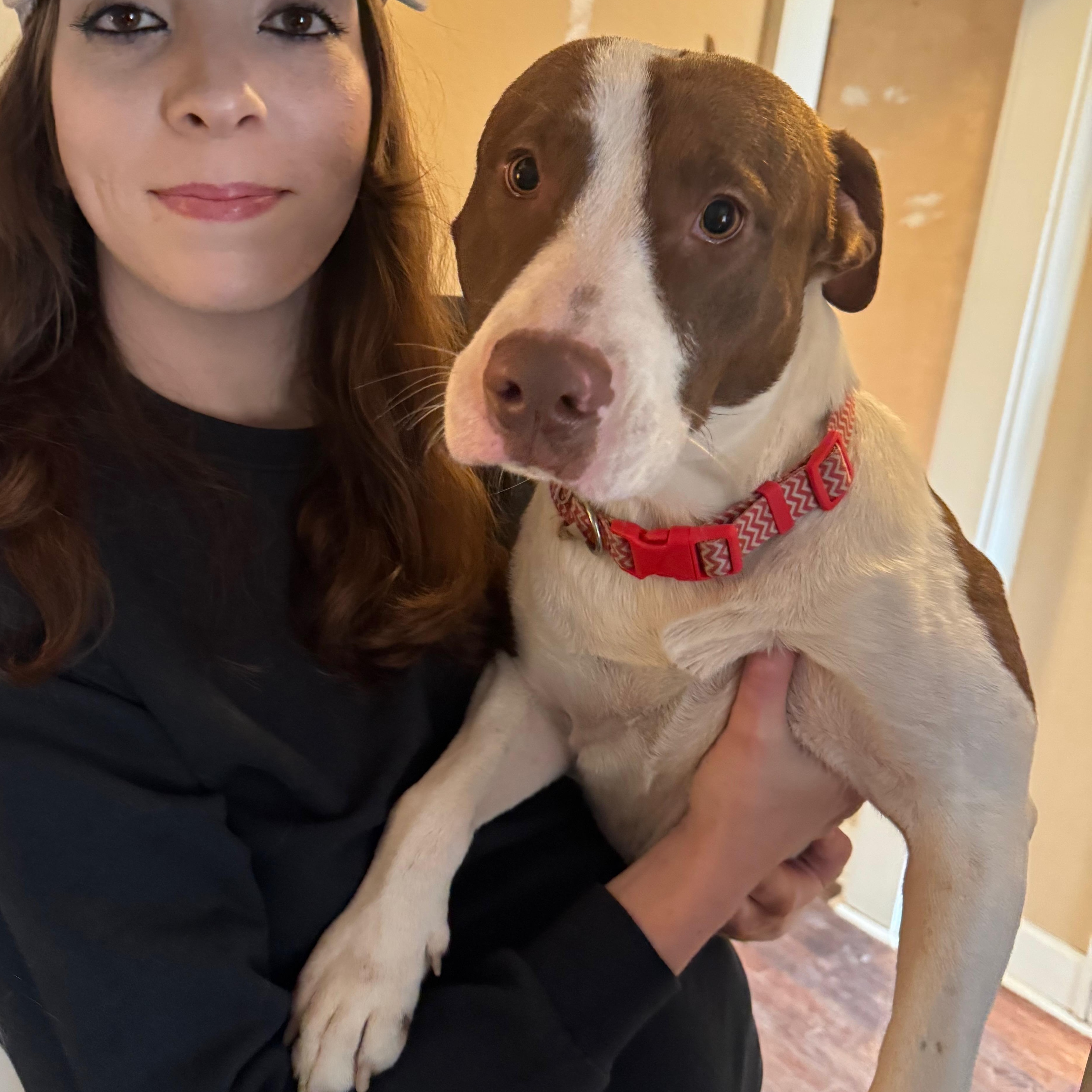 Sid : The perfect 100 — thumbnail 3