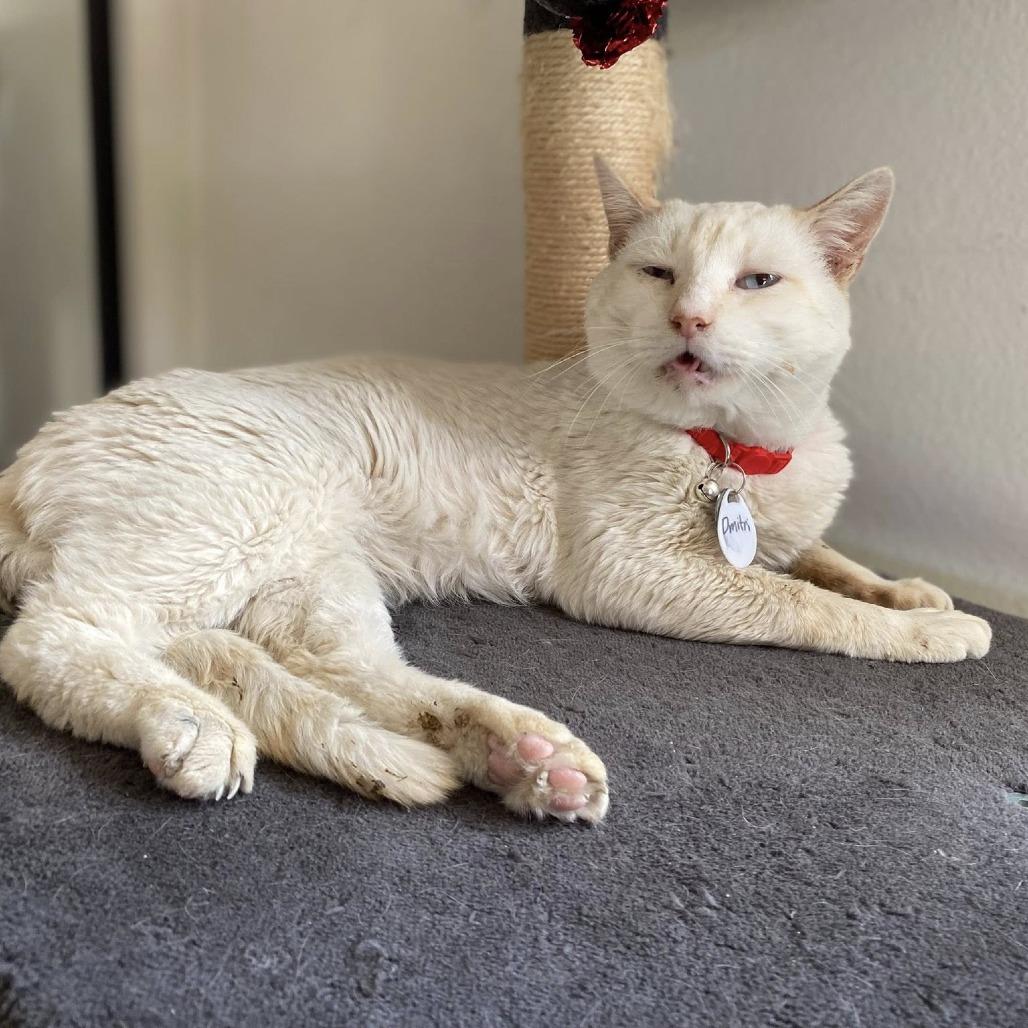 Dmitri — thumbnail 2