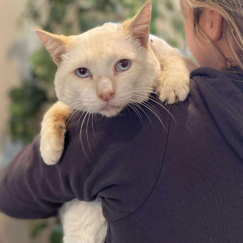 Dmitri — thumbnail 3