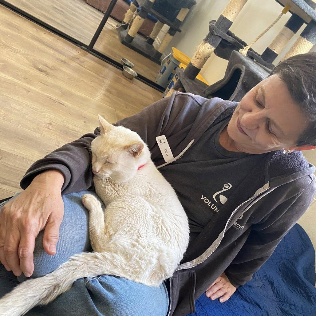 Dmitri — thumbnail 4