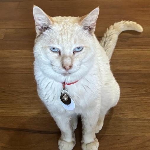 Dmitri — thumbnail 5