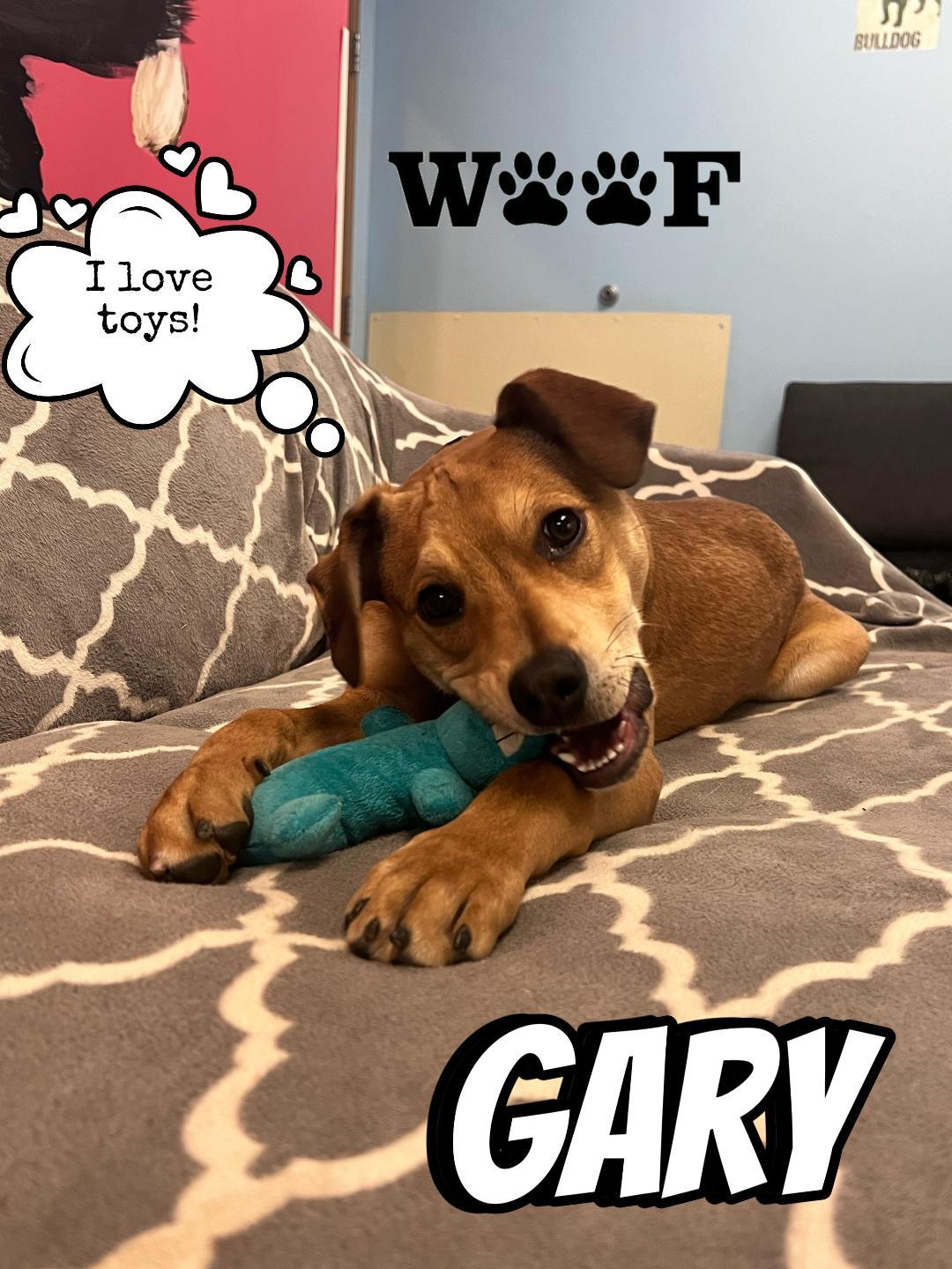 Gary